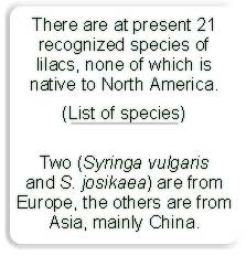 List of Species